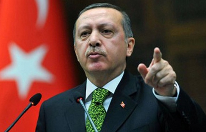 Turkish president slams Germany over rally ban