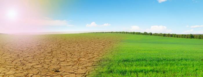 Le dérèglement climatique pourrait tuer en Europe