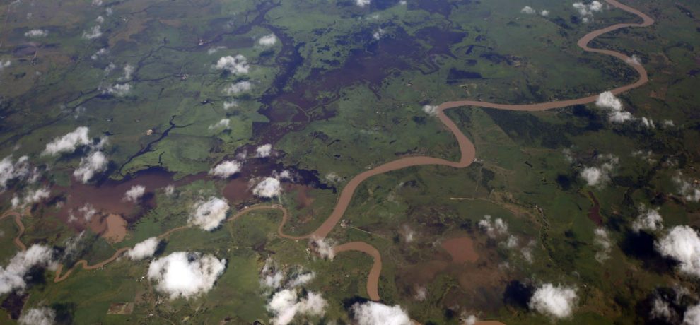 Colombia declara reserva forestal en territorio fronterizo con Venezuela.
