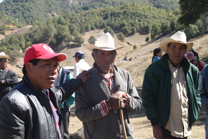 Mexican anti-logging activist Isidro Baldenegro killed 
