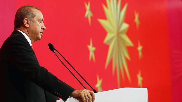 Erdogan calls on `our friends` to crack down on terror