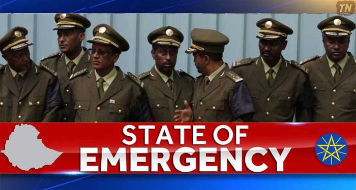 Ethiopian government has jailed over 11,000 since introducing state of emergency