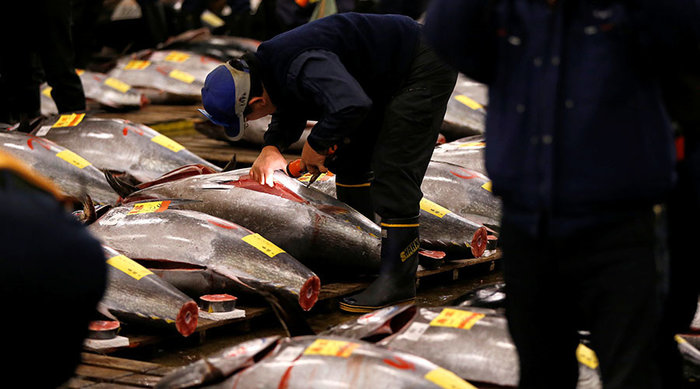 Relocation of world’s largest fish market in Tokyo delayed