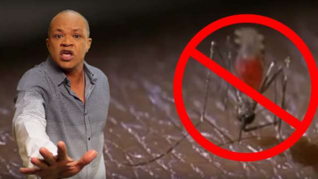Jamaica fights Zika with reggae
