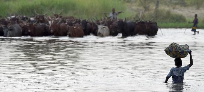 3 dead, 56 wounded in suicide bombings near Lake Chad: security source