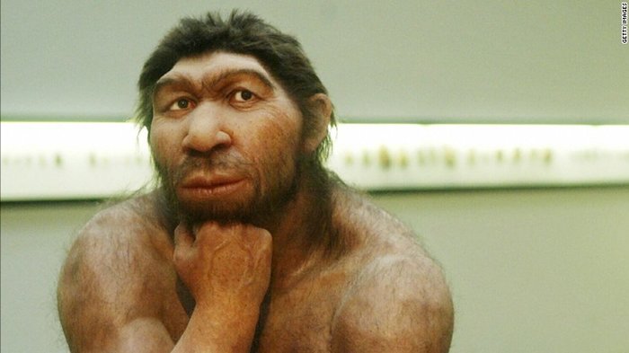 DNA results are in: Early humans and Neanderthals made babies together