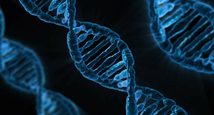 نجاح تعديل جينات يساعد في منع الأمراض الوراثية