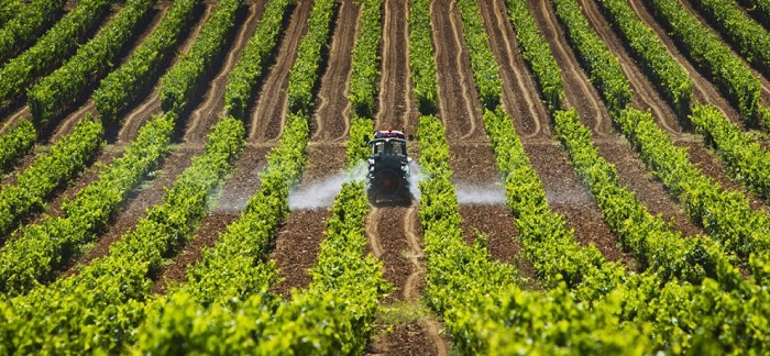 “La agricultura sustituirá al petróleo en la economía rusa”.