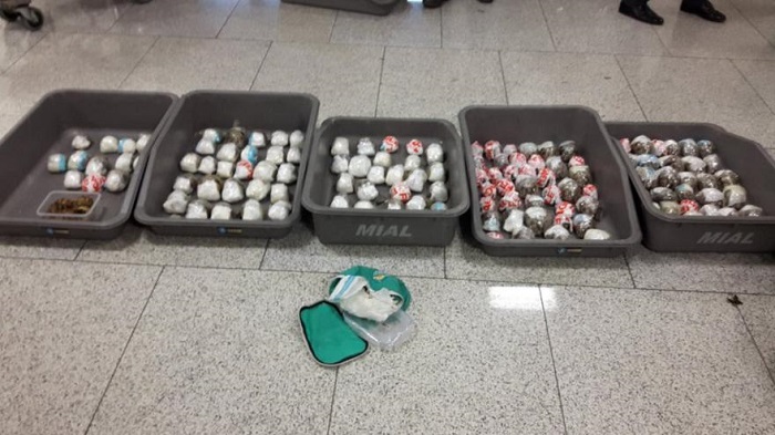 Bombay: 146 rares tortues découvertes emballées dans du plastique