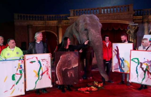 Paintings by Indian elephant auctioned off in Hungary