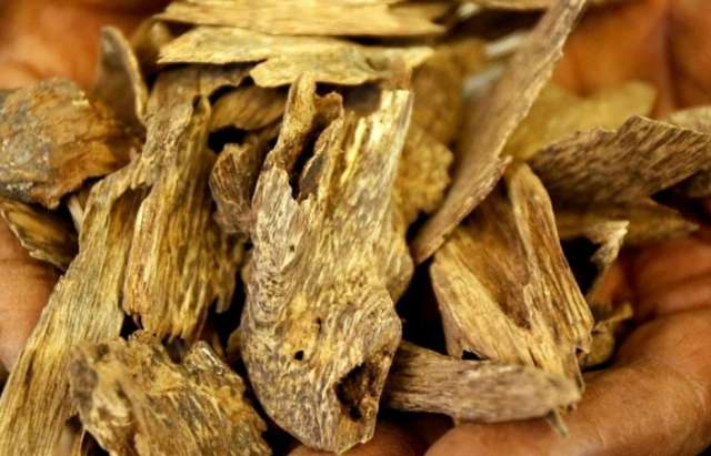 The scent that’s pricier than gold
