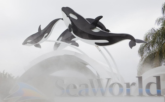 SeaWorld admits employees spied on animal rights activists