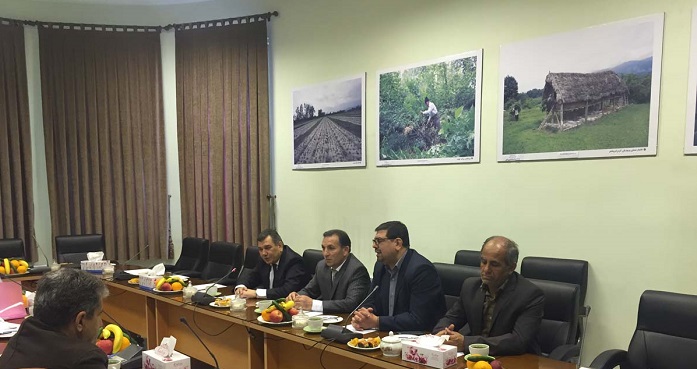 Azerbaijan receives high quality silkworm cocoons from Iran