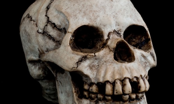 Germany to investigate 1,000 skulls taken from African colonies for 'racial research'