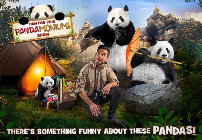 Skurilles Jobangebot: Britischer Zoo sucht “faule Menschen“ als Panda-Darsteller