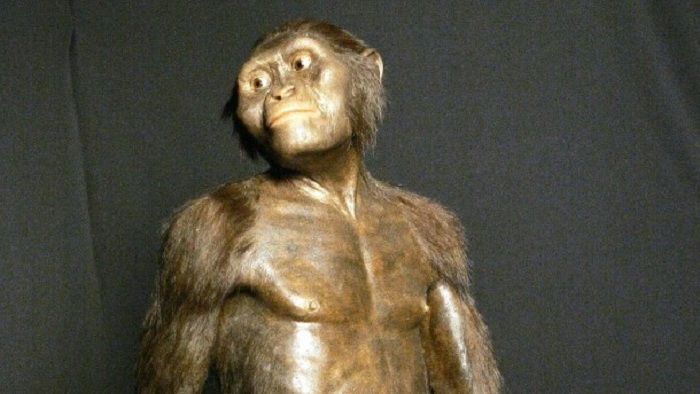 Forscher entdecken die Todesursache des Urmenschen