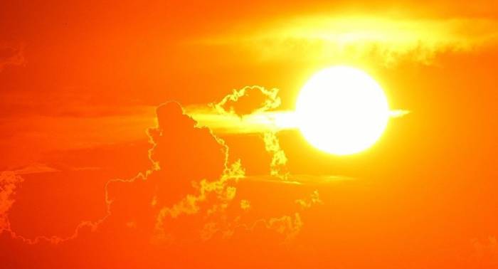 Casi 1.000 hospitalizados por calor en Japón