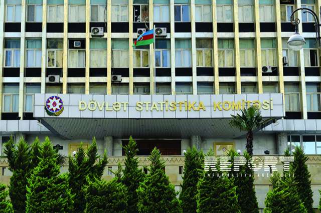 Number of small business subjects in Azerbaijan revealed