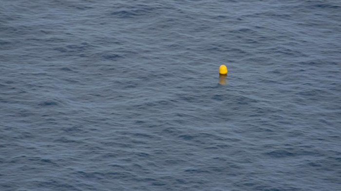 Elle survit 38 heures dans la mer sans gilet de sauvetage