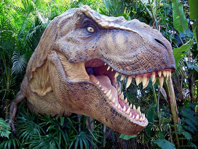  100 million year old dinosaur fossils found in Australia