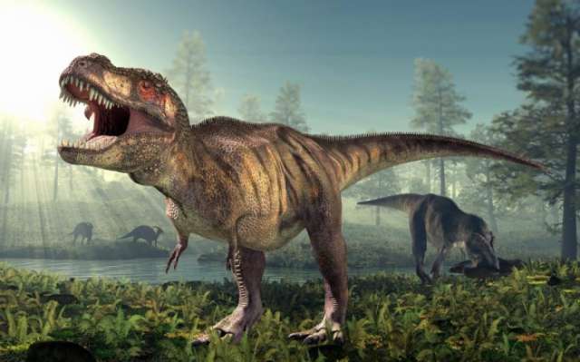 Tyrannosaurus rex 'would have been too slow to catch many humans'