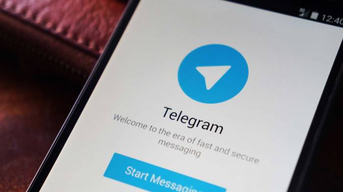 La Russie menace de bloquer la messagerie cryptée Telegram