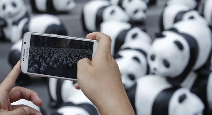 Ternura: Conoce al perrito panda que pasea por Facebook 