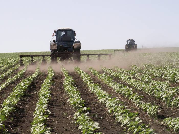 Estnische Unternehmen können in die Landwirtschaft Aserbaidschans investieren