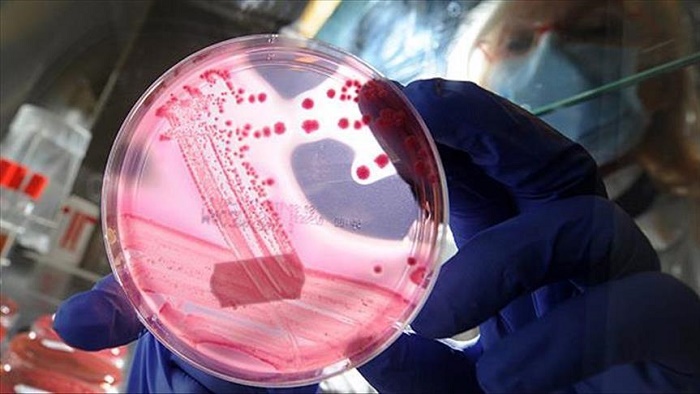 `One in six deaths in 2015 from cancer globally`