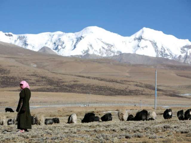 Tibet hit by 6.3 magnitude earthquake