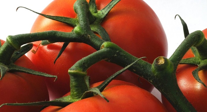 TomatesLa increíble historia del joven que solo comió tomate durante 12 años 