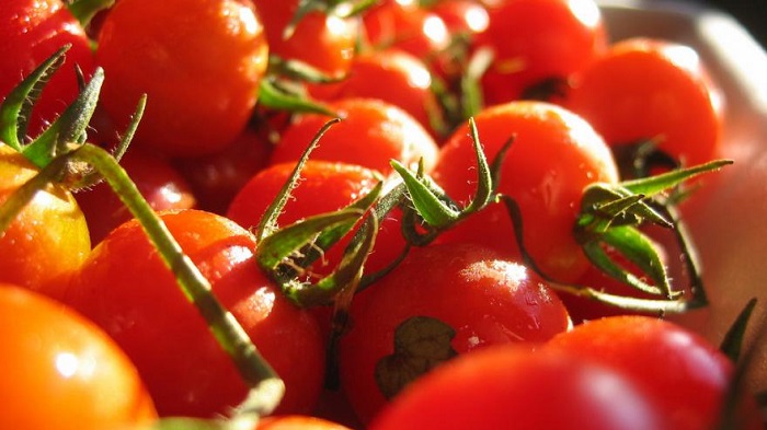 Une start-up va cultiver des légumes dans un parking parisien