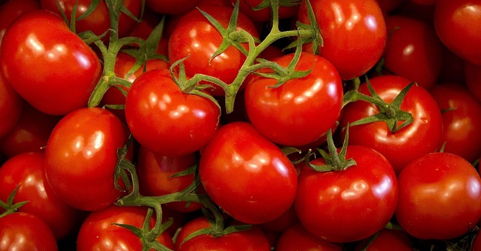 Russia says may resolve tomato row with Turkey by Oct. 20