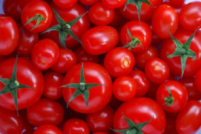Des tomates qui guérissent le cancer