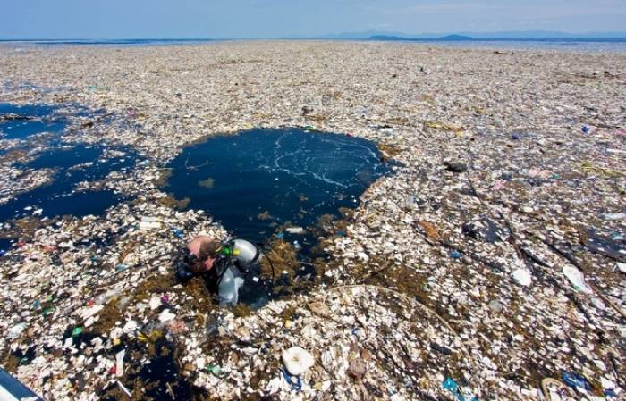 Les «îles de déchets», un désastre écologique