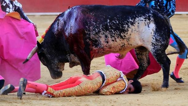 Murió el torero tras una brutal cornada en Teruel