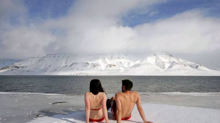 Réchauffement climatique: l'Antarctique est de plus en plus verte