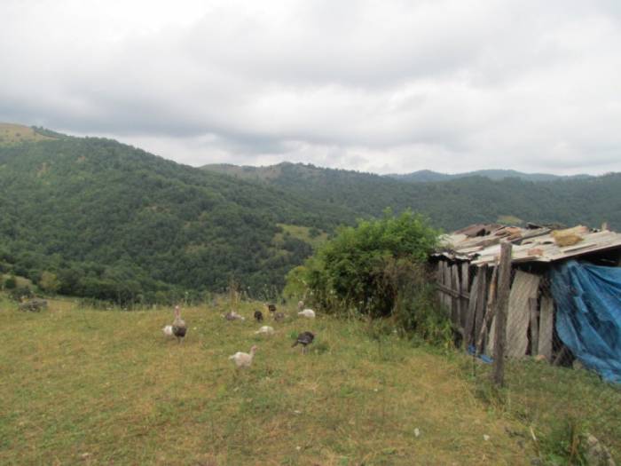 Les Arméniens tirent sur des civils azerbaïdjanais - PHOTOS du village de Garalar de Tovuz