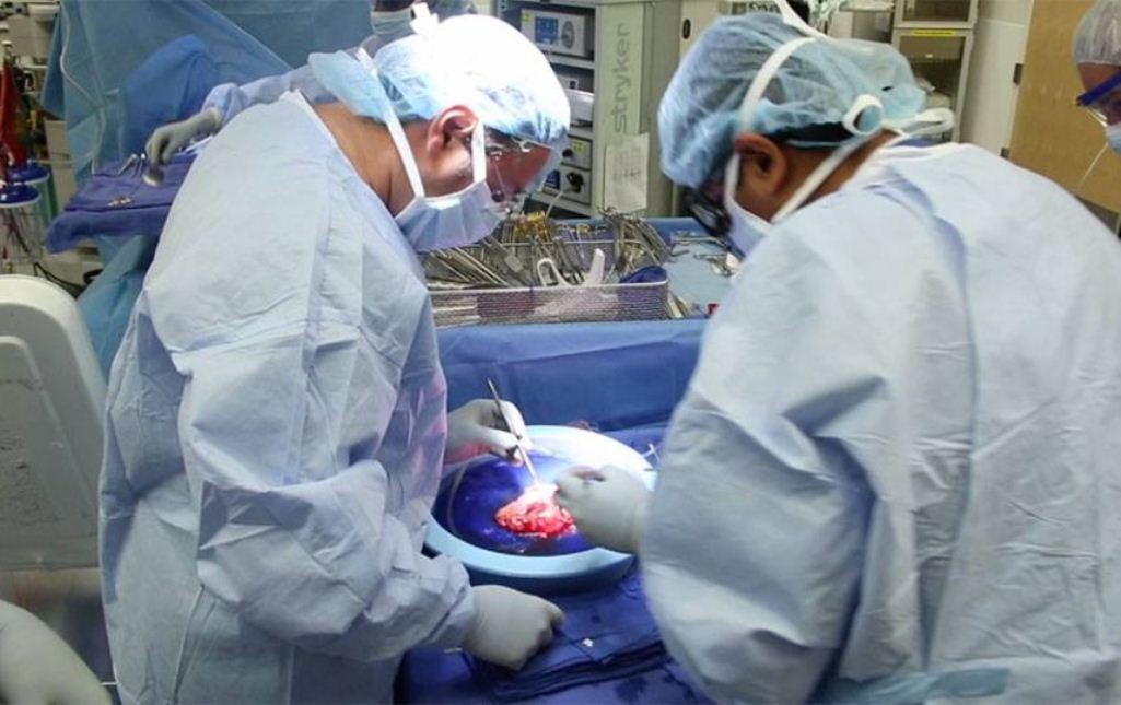 Realizan los primeros trasplantes de útero de donantes vivos en Estados Unidos