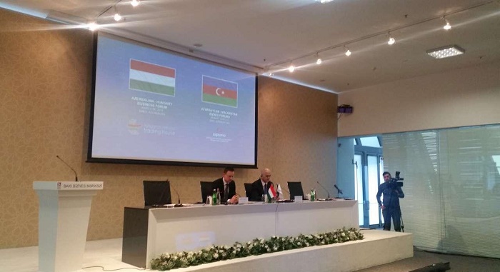 Azerbaijan proposes Hungary to create enterprises for medicine production
