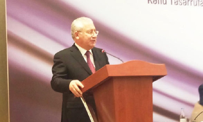 Azerbaijan invites Turkey to establish joint ventures 