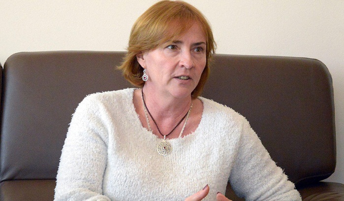 Anti-Azerbaijani resolution of European Parliament mistake 