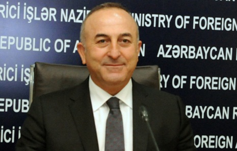 Azerbaijan to make great contribution to G20 - Turkish FM