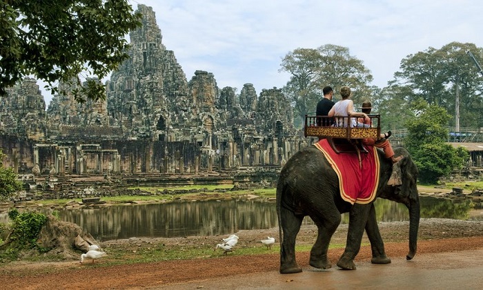 TripAdvisor bans ticket sales to attractions that allow contact with wild animals