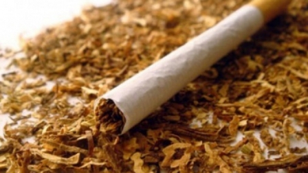 Azərbaycan tütün idxalını artırıb