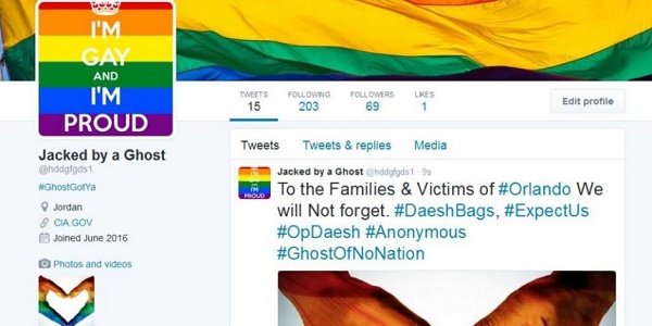 Un hackeur détourne des comptes Twitter pro-Daech en profils pro-gay