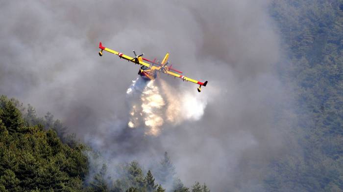 Corse: 170 hectares brûlés à Palneca, l'incendie a basculé en Haute-Corse