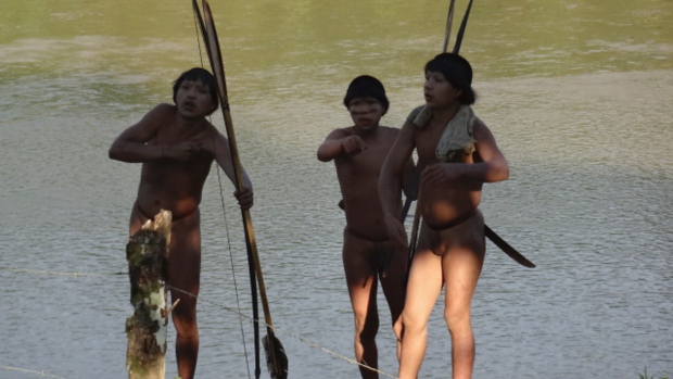 Rare footage: First contact made with isolated Amazon jungle tribe | No Comment, VIDEO