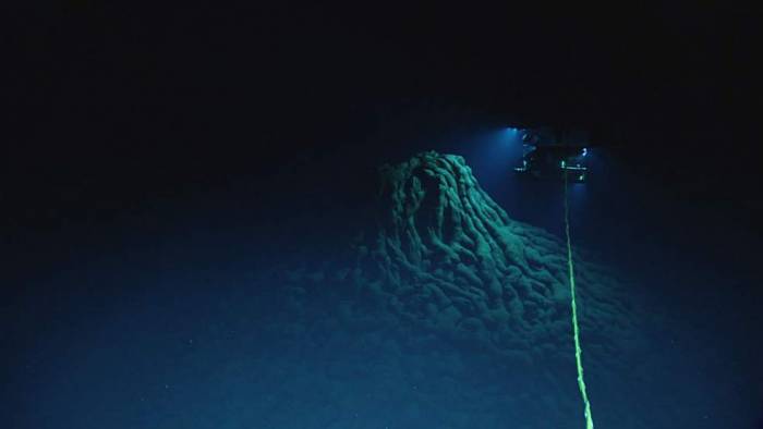 Des scientifiques ont identifié la source d'un mystérieux son capté au milieu du Pacifique