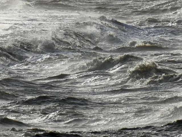 Hai tötet Schiffbrüchigen bei Rettungsaktion in der Karibik